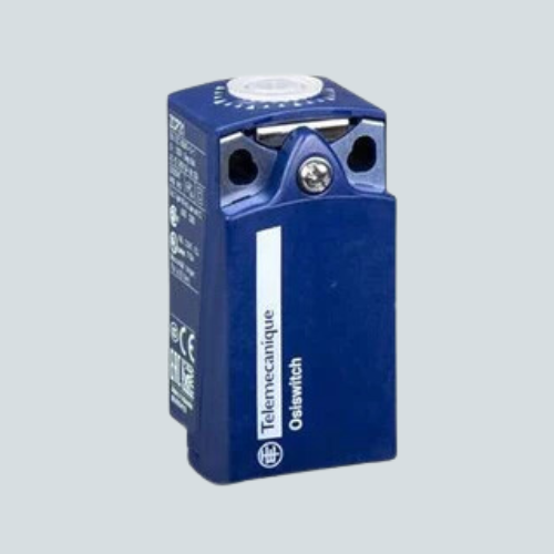 ZCP21